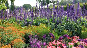 parks flower beds